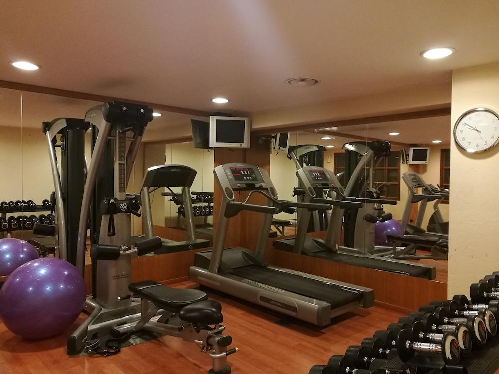 Rege Hotel San Donato Milanese Dış mekan fotoğraf